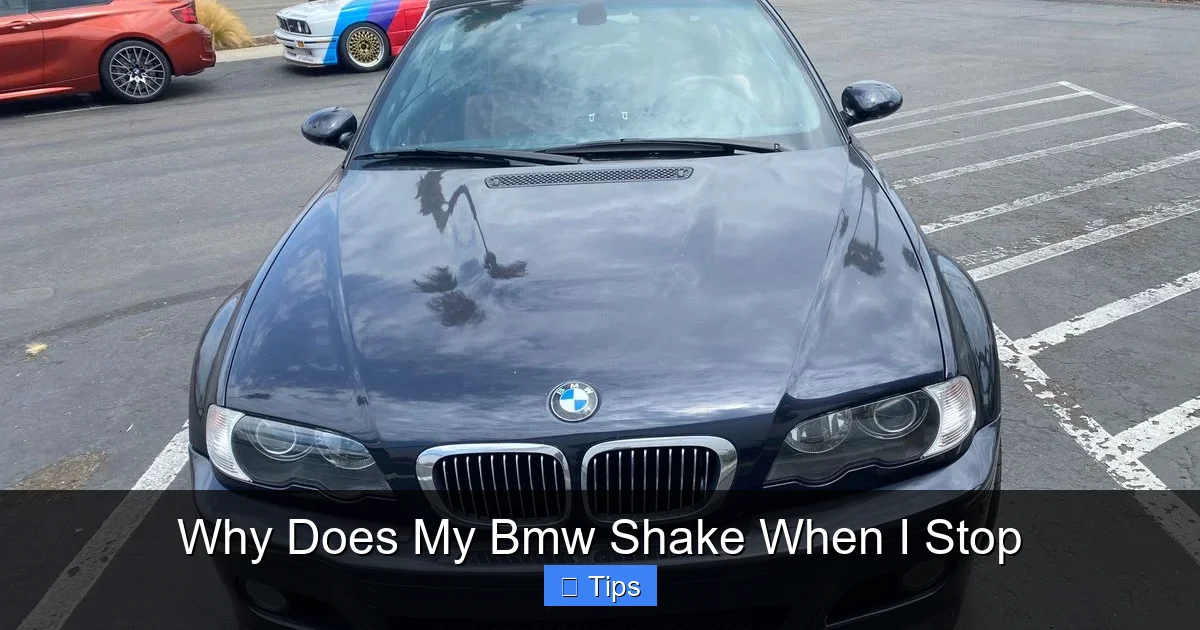 Why Does My Bmw Shake When I Stop