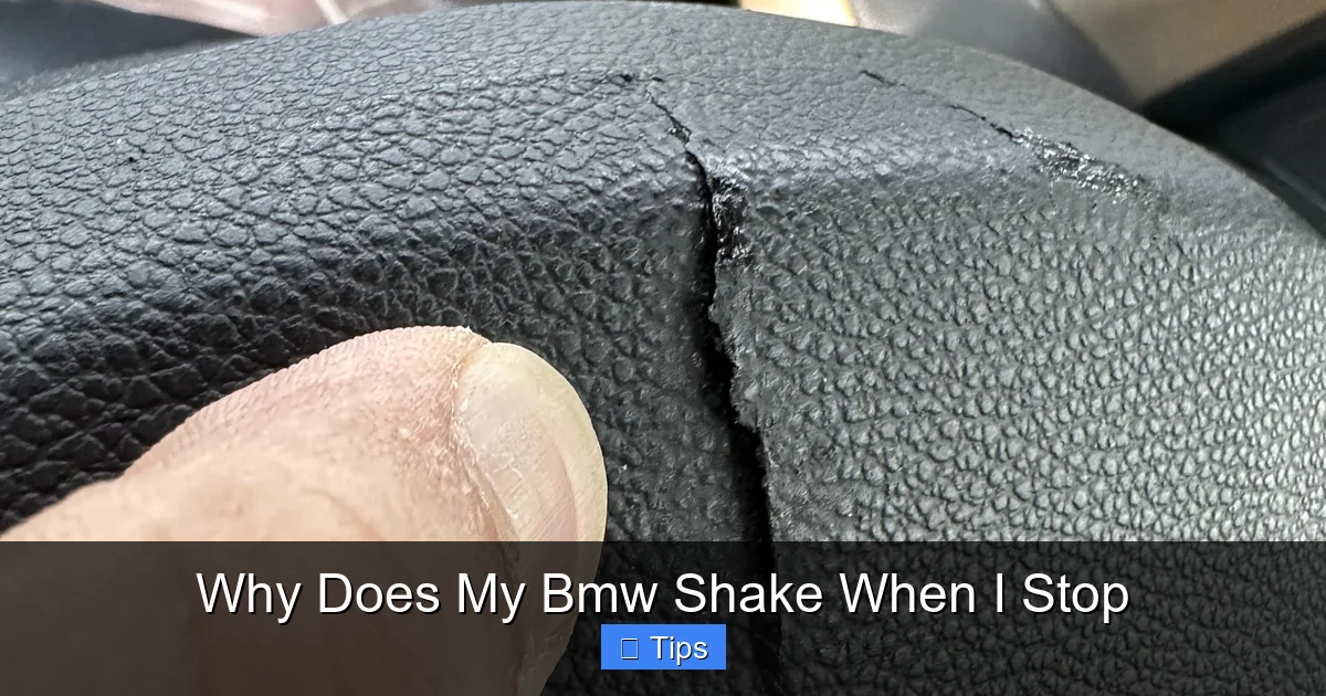 Why Does My Bmw Shake When I Stop