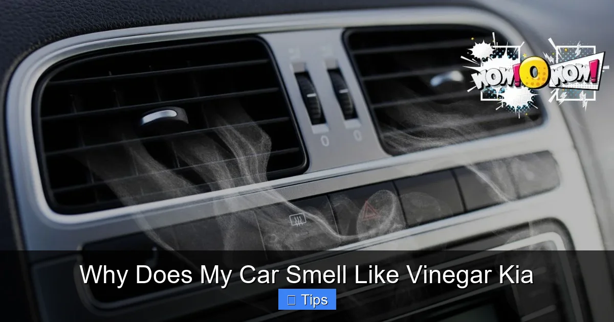 Why Does My Car Smell Like Vinegar Kia