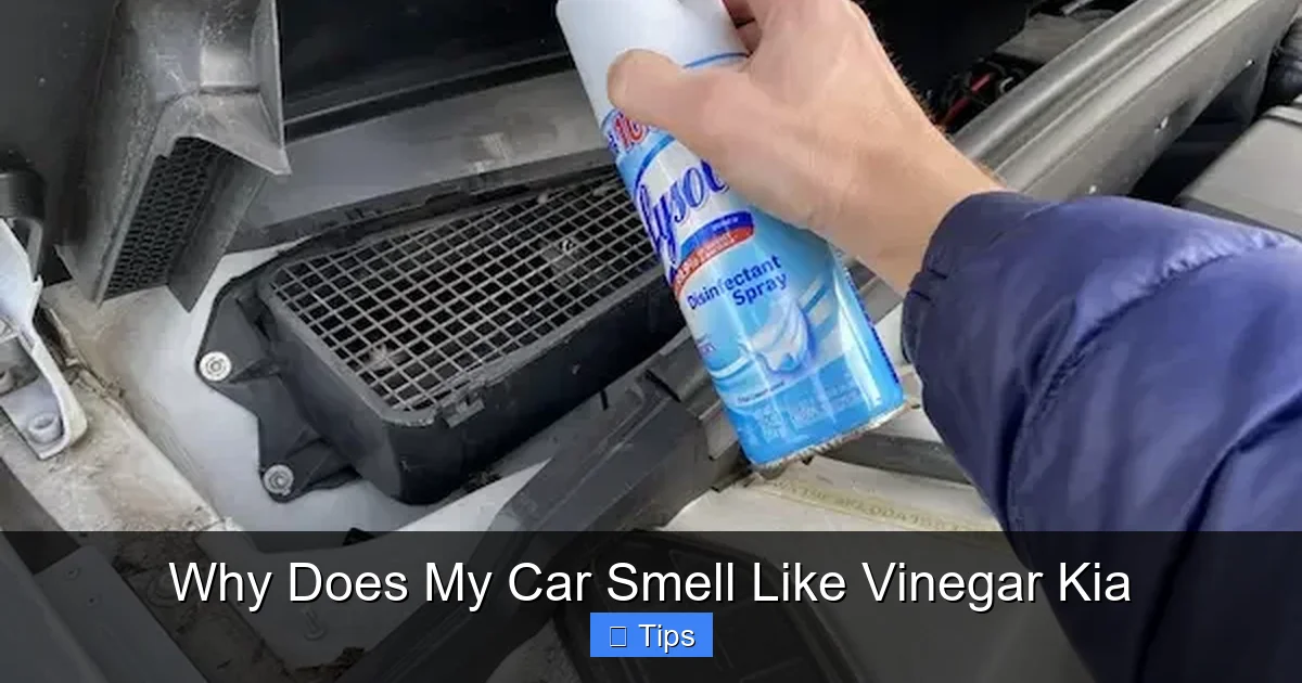 Why Does My Car Smell Like Vinegar Kia