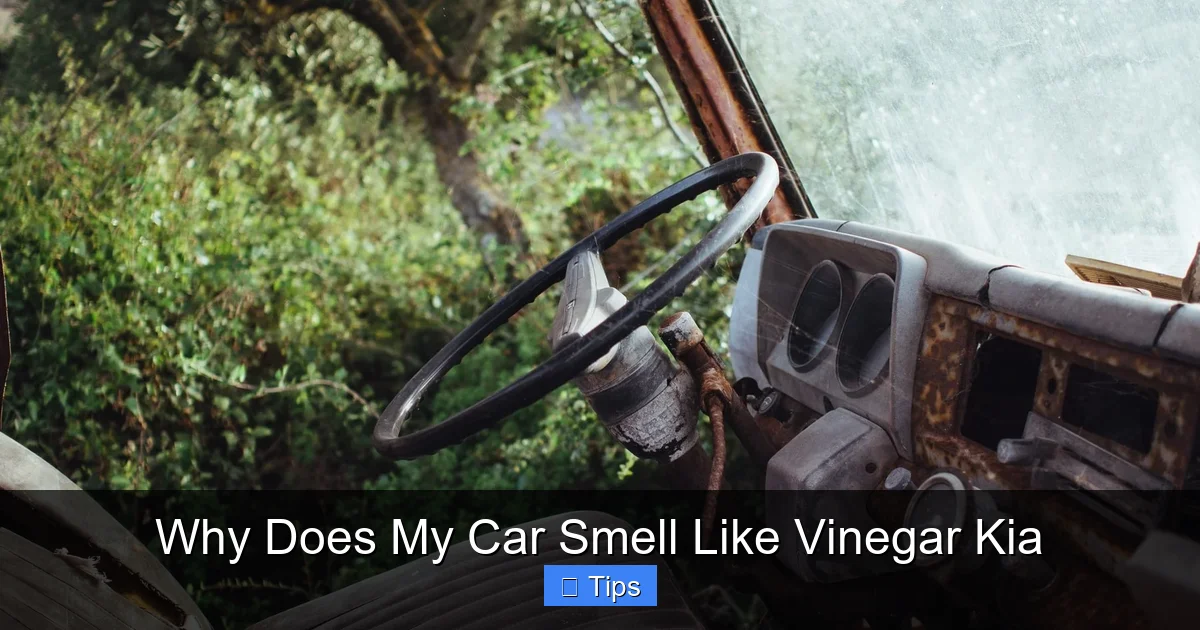 Why Does My Car Smell Like Vinegar Kia